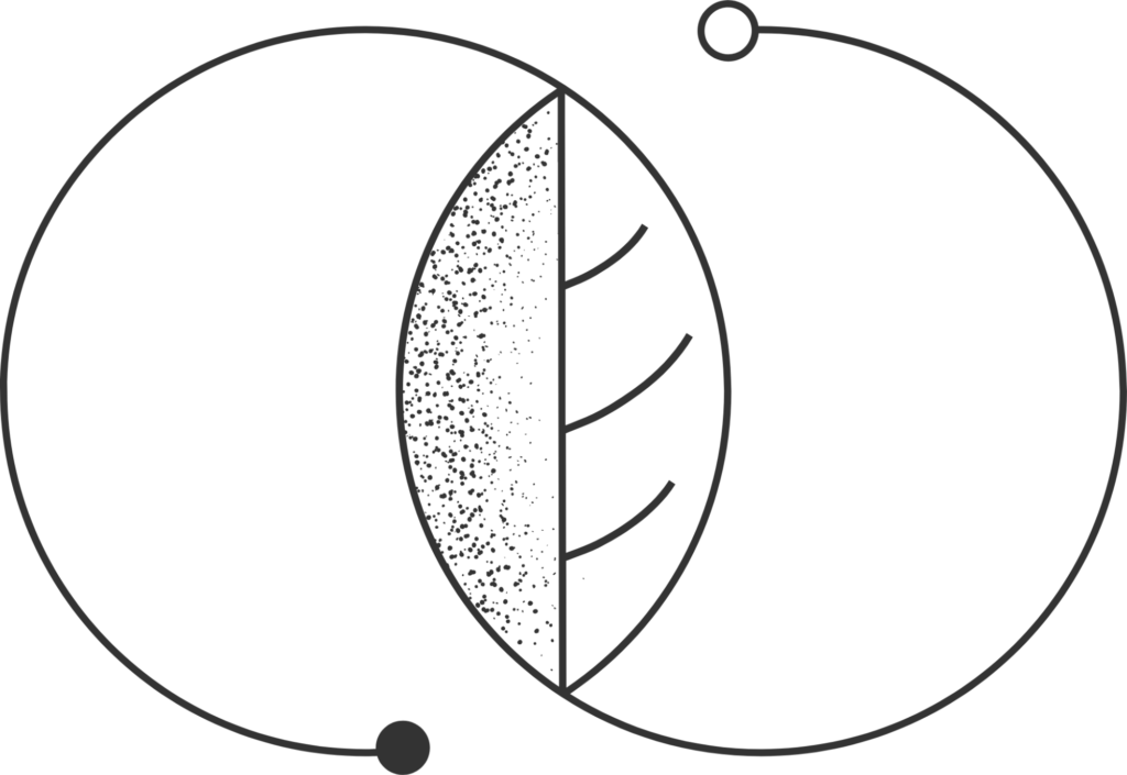 logo Forrest Frequency